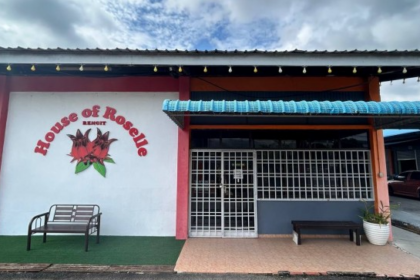 Roselle in Batu Pahat